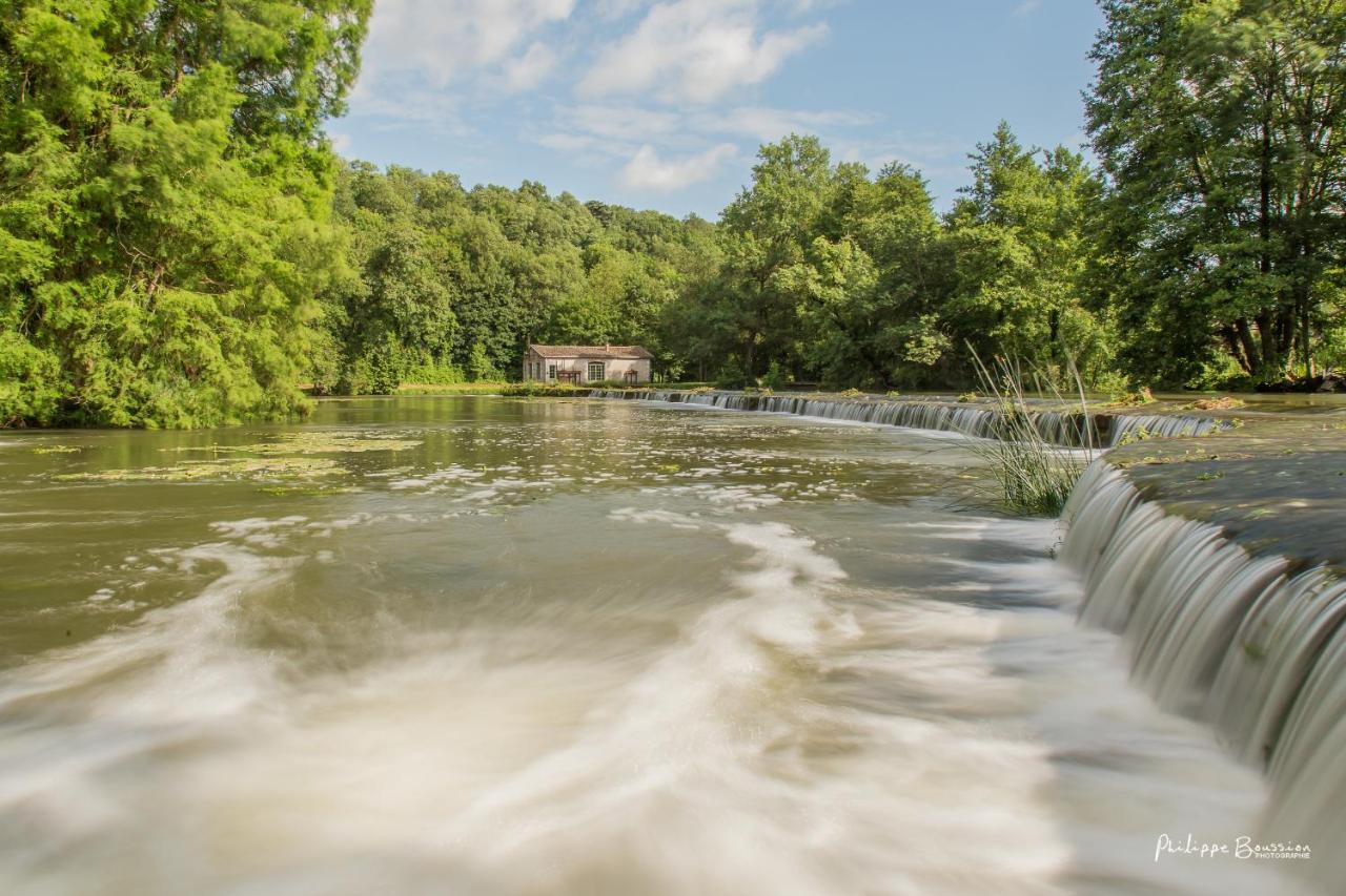Chateau Des Loups - Les Cypres Echire Kültér fotó